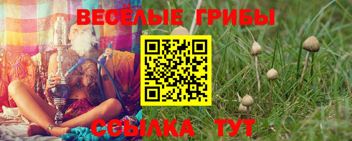 Псилоцибиновые грибы Cubensis  Псилоцибиновые грибы Psilocybe  Михайловск  Вход с VPN 